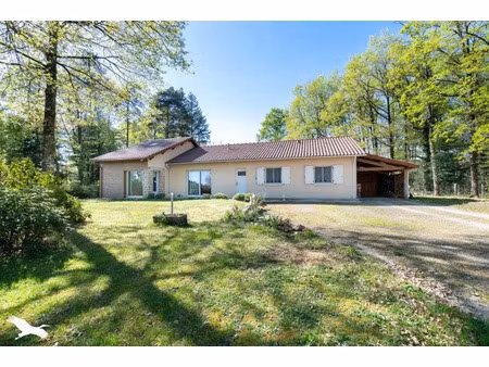 vente maison 5 pièces 142 m² à oradour-sur-glane (87520)  220 920 €