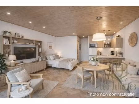 spacieux studio centre village - le biot