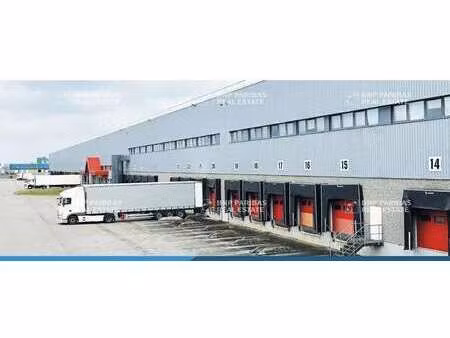 location entrepôt 10 684 m² à 35 269 m²