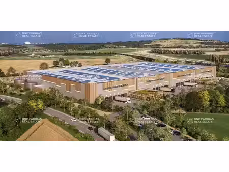 location entrepôt logistique 6 150 m² à 24 600 m²