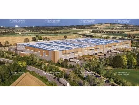 location entrepôt logistique la milesse 72650 6150m² à 24600m²