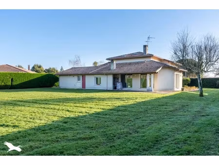 vente maison 6 pièces 156 m² à aire-sur-l'adour (40800)  279 300 €