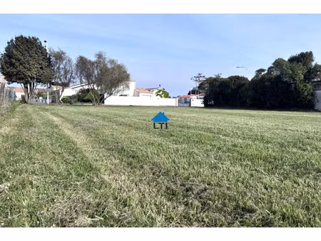 annonce terrain à vendre