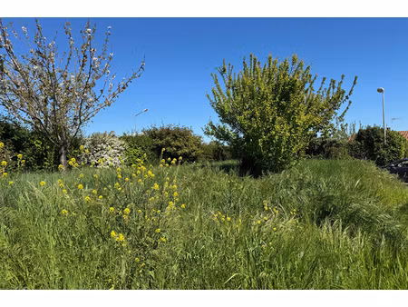 annonce terrain à vendre