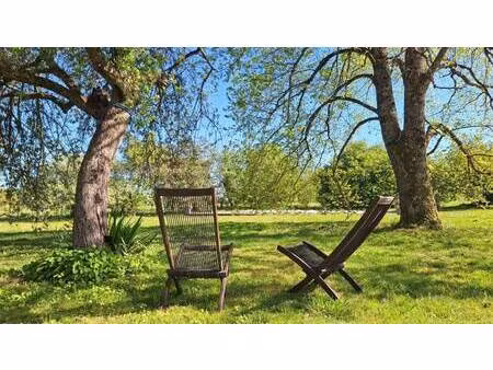 meilleur conseil immo