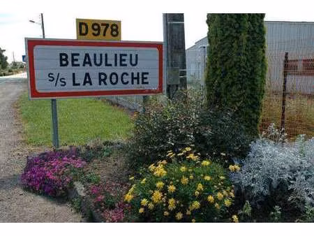 vente terrain à beaulieu-sous-la-roche (85190) : à vendre / beaulieu-sous-la-roche
