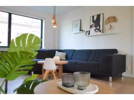 maison de 4 chambres rénovée avec élégance à heverlee