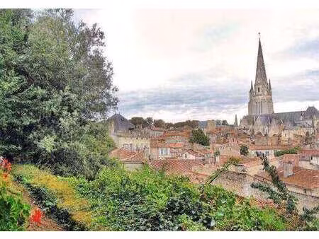 vente terrain à sainte-hermine (85210) : à vendre / sainte-hermine