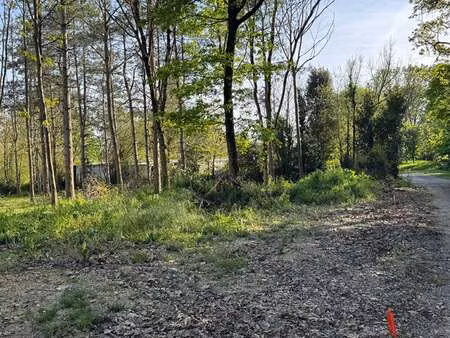 vente terrain à givrand (85800) : à vendre / 392m² givrand