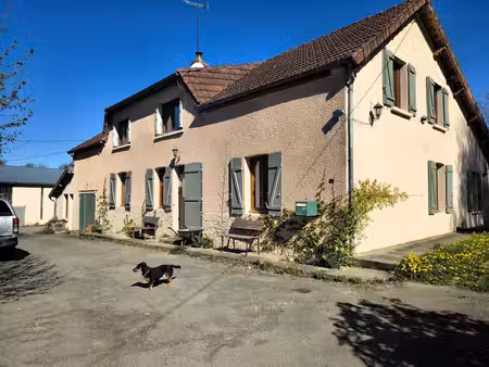 propriété avec terrain adapté pour chevaux