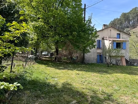 maison avec jardin