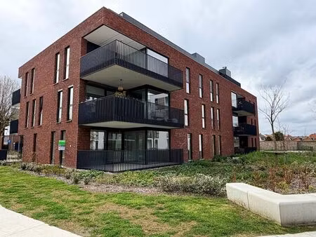 appartement à louer à bree € 1.050 (ln4y7) - jemar.be | zimmo