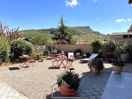 vente maison 9 pièces 235 m² mâcon (71000)