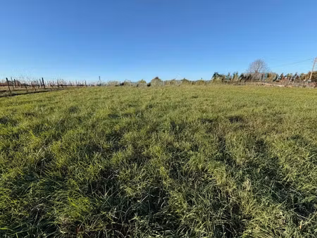 vente terrain 561 m² à capian (33550)  80 000 €