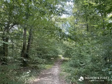 vente maison 1 pièce 1 m² à gien (45500)  3 750 000 €