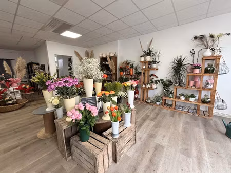 vente locaux professionnels 0 pièces 81 m² à riaillé (44440)  14 000 €