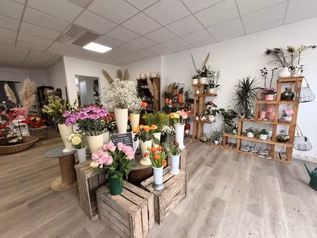 vente locaux professionnels 81 m² à riaillé (44440)  29 500 €