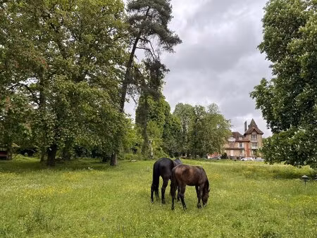 manoir rénové avec domaine de 5 hectares - propriété d'exception à 50km de paris