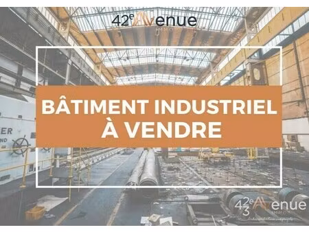 vente local d'activités 915 m²