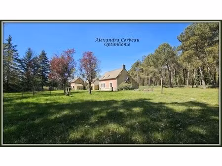 propriété de charme proche ecommoy (72)