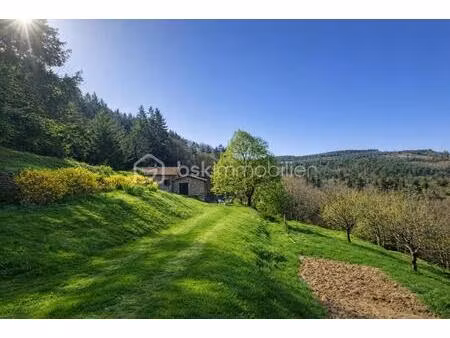 ferme ardéchoise en pierres avec vue panoramique et châtaigneraie centenaire