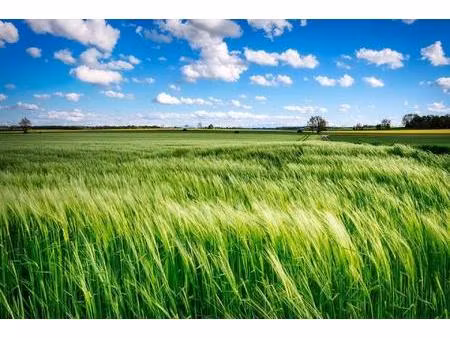 à vendre terrain à bâtir de 1617 m² eydoche ( 38690 )