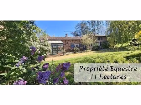 maison de 6 pièces de luxe en vente à saint-andré-d'huiriat  auvergne-rhône-alpes