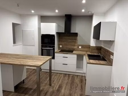 prestigieux immeuble de rapport en vente à sélestat  grand est