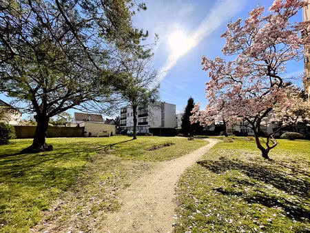 location appartement 3 pièces 50m²