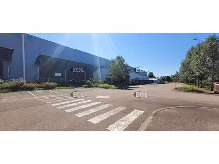 location entrepôt 11 260 m² à 22 513 m²
