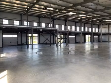 vente local d'activités 313 m² à 1 181 m²
