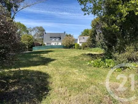 vente terrain à sarzeau (56370) : à vendre / 611m² sarzeau