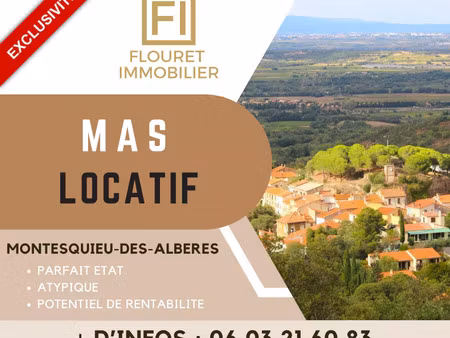 vente immeuble 270 m² montesquieu-des-albères (66740)