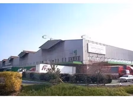 location entrepôt 225 m² à 2 306 m²