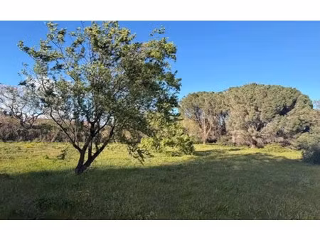 terrain saint-féliu-d'avall m² t- à vendre  169 000 €