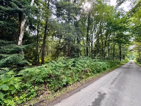 exceptionnel : 1 hectare boisé à beaufays  chemin du tarbois