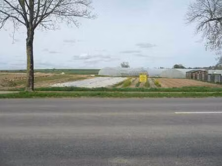 terrain a batir (10 ares) et terrain agricole (68 ares)