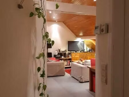 appartement 1ch à louer à waterloo