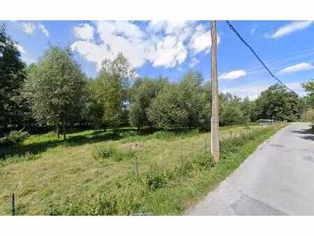 terrain boisé de 6.066 m² à dilbeek