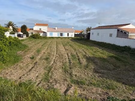 toulouse david capifrance