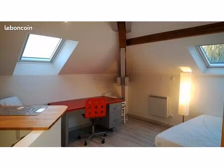 beau studio mansardé dans parc