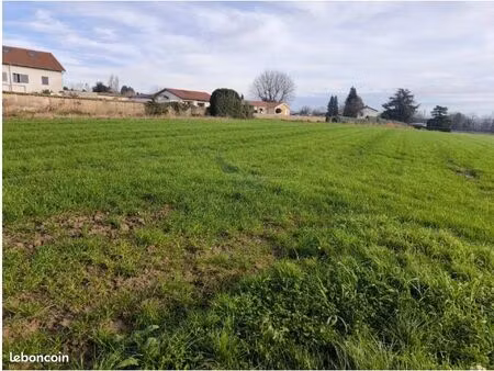 terrain 1 010 m² saint georges de reneins