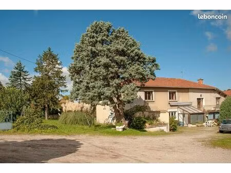 grand corps de ferme à rénover • st pierre de chandieu (69780)