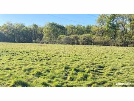 pension chevaux à crouy-sur-cosson  près de chambord