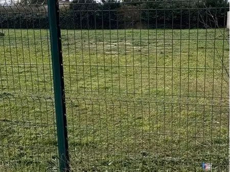 terrain mas blanc des alpilles