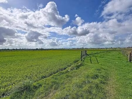 terrain à vendre à merkem € 526.000 (ln5ew) - kristien puype | zimmo