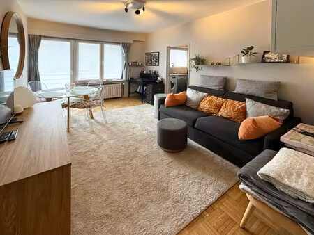 appartement 1 chambre  lumineux  rénové et bien agencé
