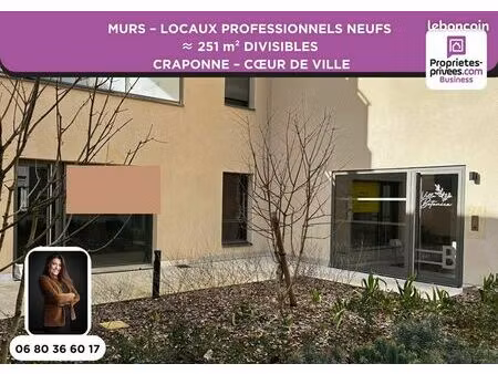local 251 m²