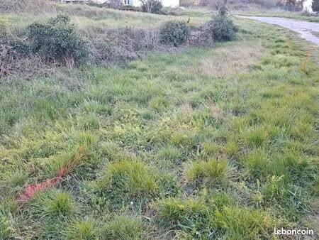 terrain constructible