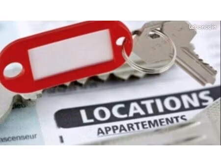 appartement f2 de 45m2